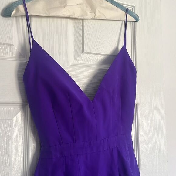 Purple Jennifer Hope Dress - Size 2 - Worn Once - Excellent Condition - Picture 3 of 6